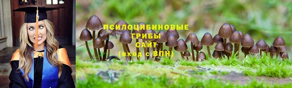 дживик Магадан