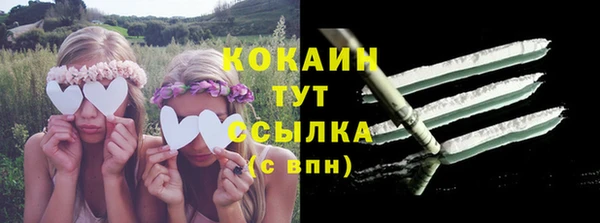тгк Майский