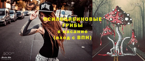 mix Абаза