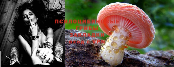 PSILOCYBIN Ахтубинск
