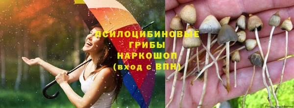 дживик Магадан